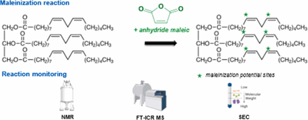 Picture2Clemence Queffelec 1131c