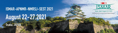2021 ISMAR.jpeg