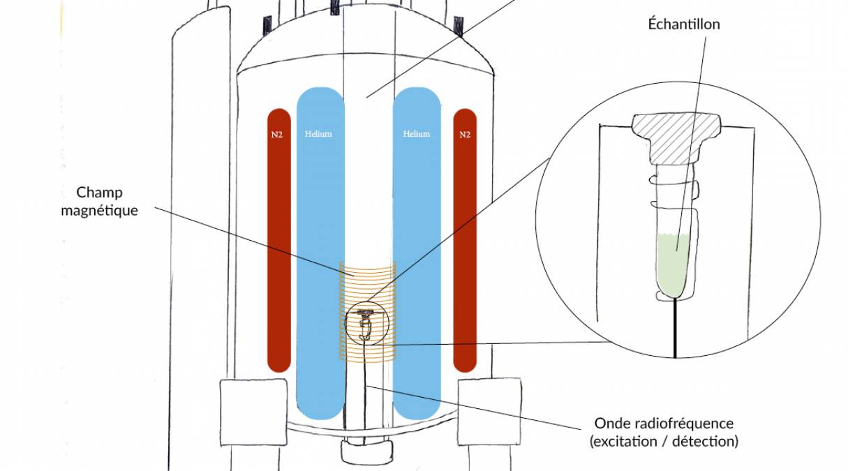 La RMN, c'est quoi ?